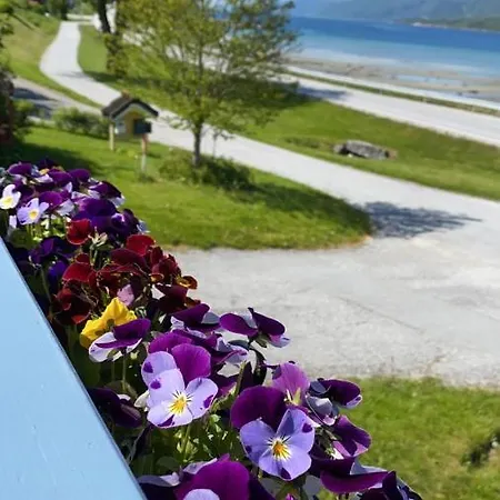 Fjordhotell 3* Eidsvag (Nesset)